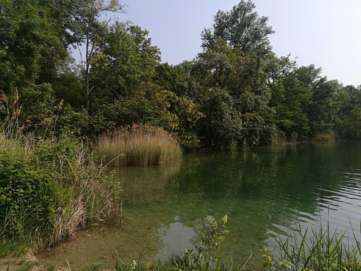 Ferienhaus Nostalgie Vogtsburg Εξωτερικό φωτογραφία