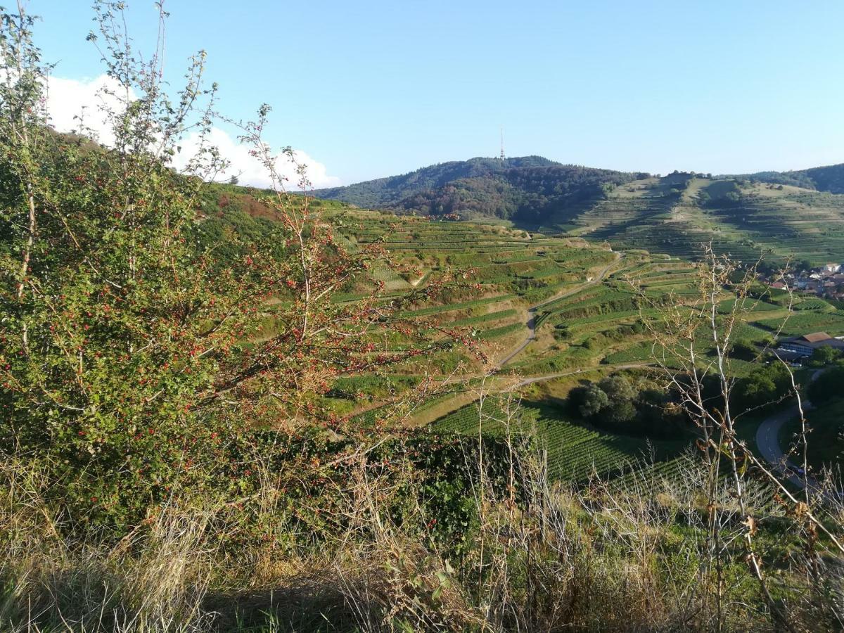 Ferienhaus Nostalgie Vogtsburg Εξωτερικό φωτογραφία